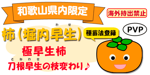 堀内早生
