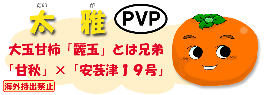 太雅