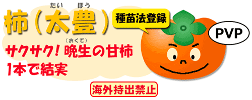 太豊
