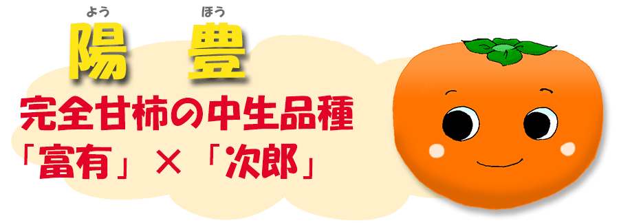 陽豊