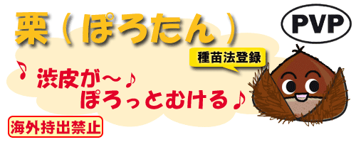 ぽろたん