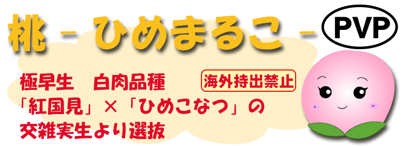 ひめまるこ
