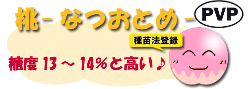 なつおとめ