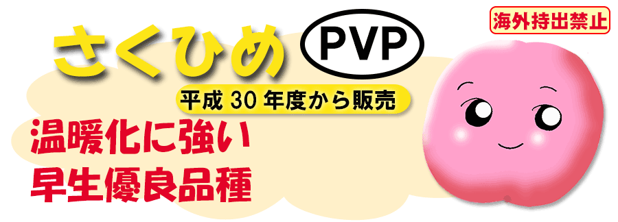 さくひめ