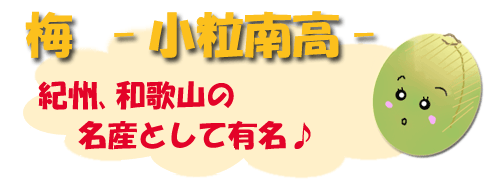 小粒南高