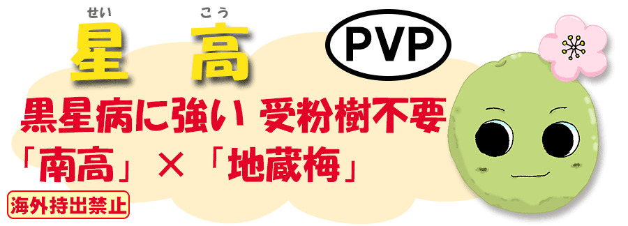 星高