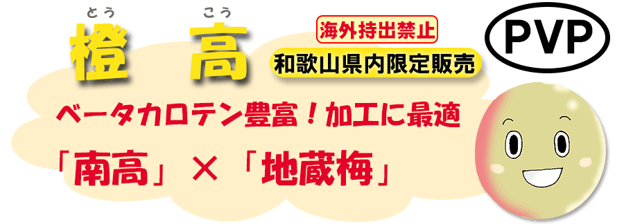 橙高