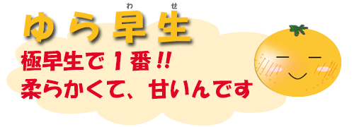 ゆら早生