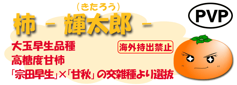 輝太郎（きたろう）
