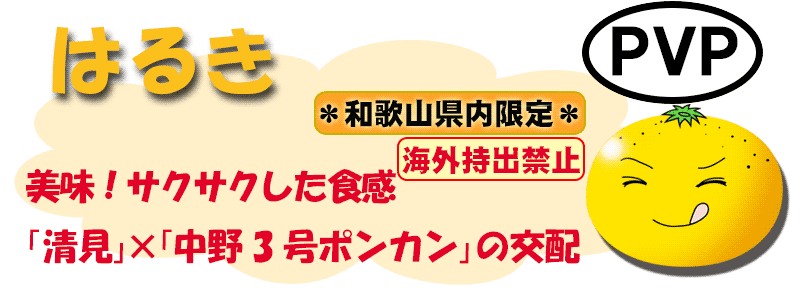 はるき